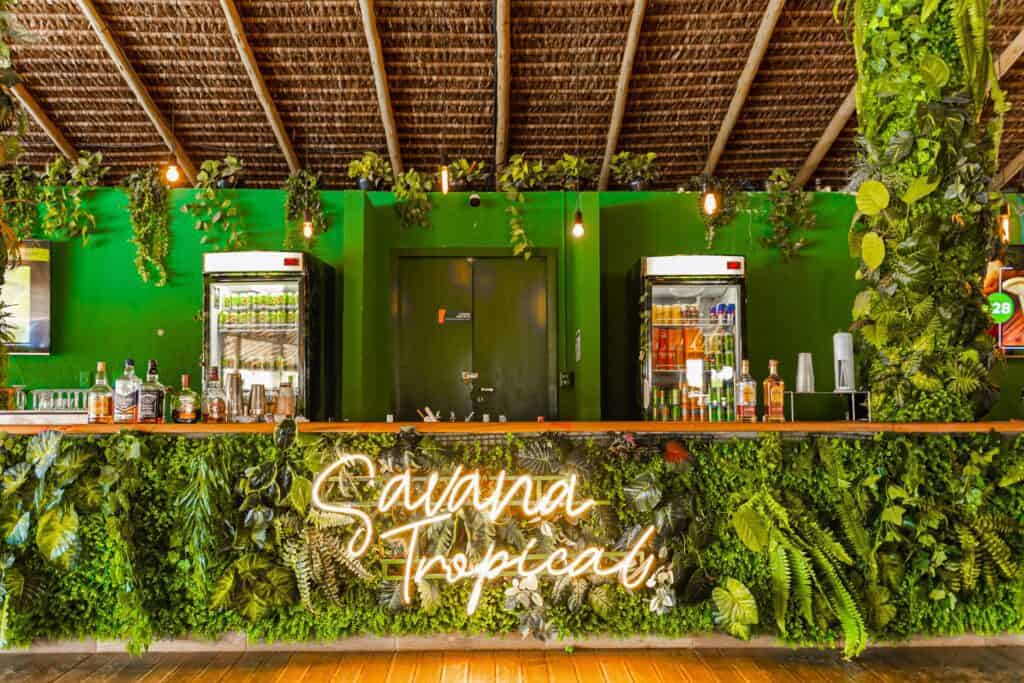 Bar em madeira com paredes verde escuro e arborizado com plantas e samambaias.