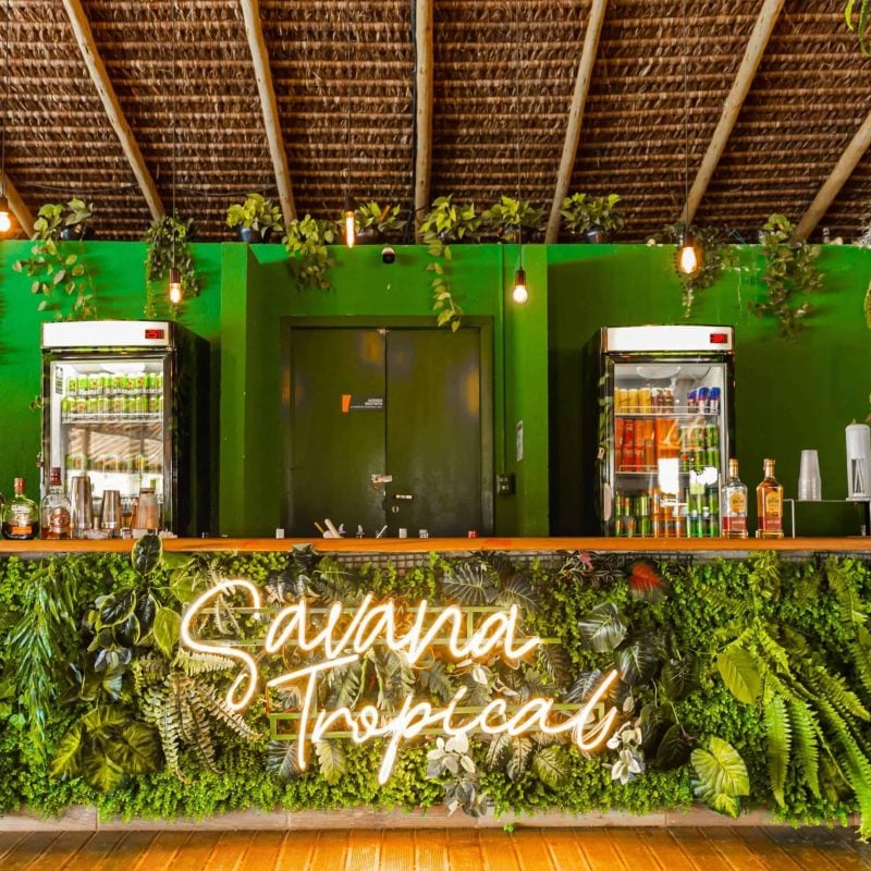 Bar em madeira com paredes verde escuro e arborizado com plantas e samambaias.