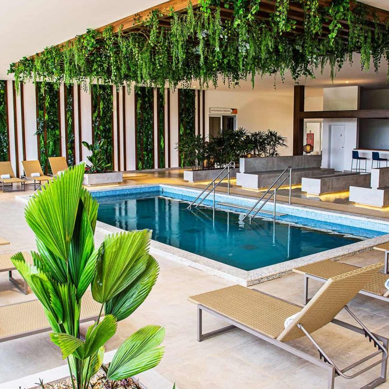 ambiente com piscina interna aquecida, com espreguiçadeiras ao redor, decoração com jardim suspenso e uma pequena palmeira.